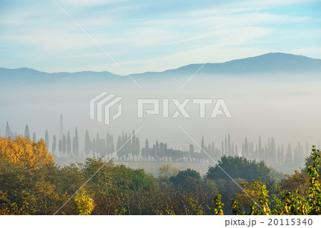 nice Tuscany 20115340