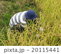 田舎の暮らし 20115441