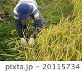 田舎の暮らし 20115734