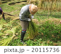 田舎の暮らし 20115736