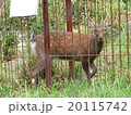 田舎の暮らし 20115742