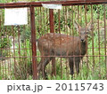 田舎の暮らし 20115743
