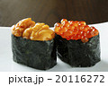 寿司　すし 20116272