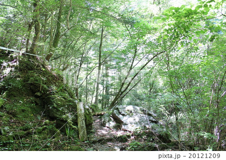 安居渓谷 20121209