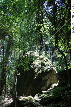 安居渓谷 20121217