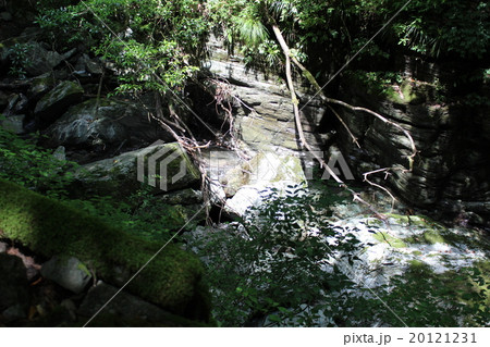 安居渓谷 20121231