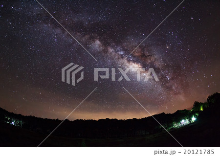 Milky Way and silhouette of tree with cloud 20121785