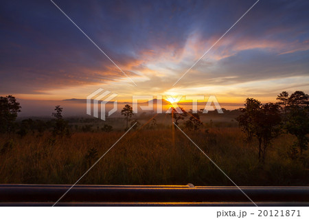 misty morning sunrise in mountain at Thung Salang misty morning sunrise in mountain at Thung Salang 20121871