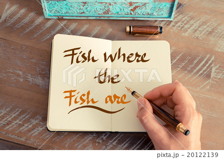 Handwritten text FISH WHERE THE FISH ARE 20122139
