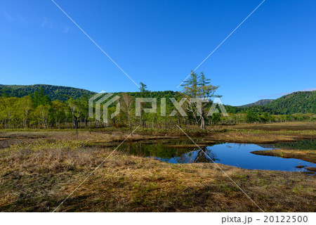 初夏の尾瀬ヶ原 20122500
