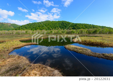 初夏の尾瀬ヶ原 20122631
