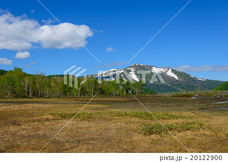 初夏の尾瀬ヶ原と至仏山 20122900
