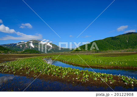 初夏の尾瀬ヶ原と至仏山 20122908