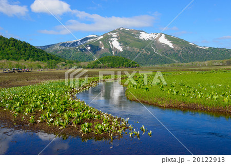 初夏の尾瀬ヶ原と至仏山 20122913