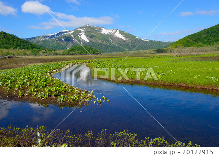 初夏の尾瀬ヶ原と至仏山 20122915