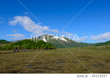 初夏の尾瀬ヶ原と至仏山 20122937