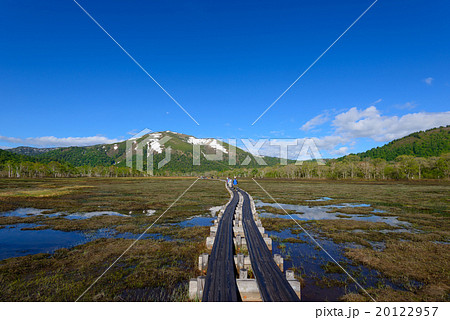 初夏の尾瀬ヶ原と至仏山 初夏の尾瀬ヶ原と至仏山 20122957