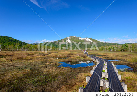 初夏の尾瀬ヶ原と至仏山 20122959
