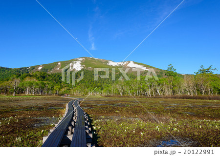 初夏の尾瀬ヶ原と至仏山 20122991
