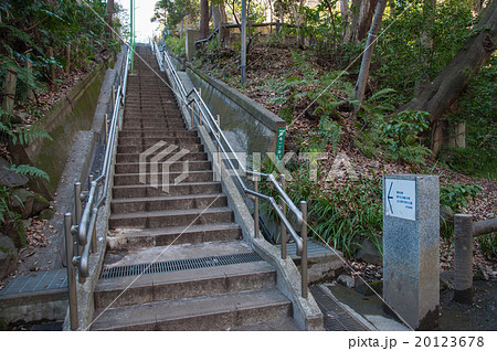 東京世田谷散歩、等々力エリア、等々力渓谷 東京世田谷散歩、等々力エリア、等々力渓谷 20123678