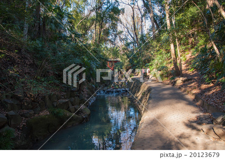 東京世田谷散歩、等々力エリア、等々力渓谷 20123679