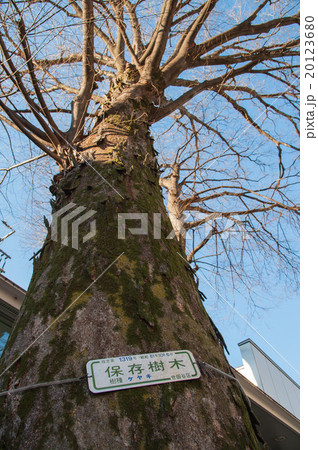 東京世田谷さんぽ、等々力エリア、等々力渓谷 20123680