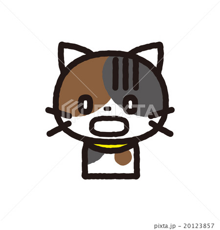 猫 20123857