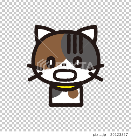 猫 20123857
