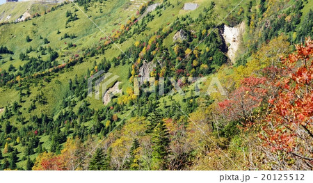 錦秋の志賀高原 20125512