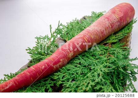 金時にんじん 20125688