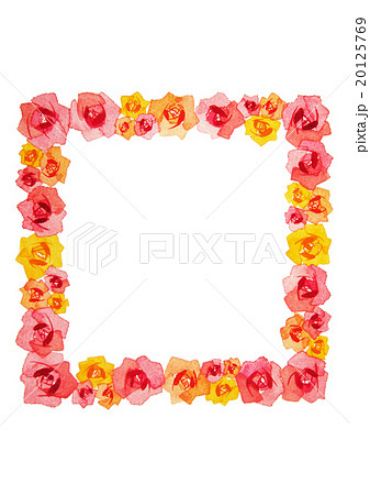 オレンジローズ　スクエアフレーム　バラ　薔薇 20125769