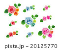 バラ　薔薇　ローズ 20125770