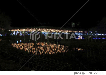 足利フラワーパークのイルミネーション 足利フラワーパークのイルミネーション 20127360