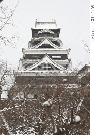 大雪の熊本城 大雪の熊本城 20127559