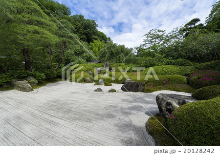 明月院の枯山水庭園 明月院の枯山水庭園 20128242