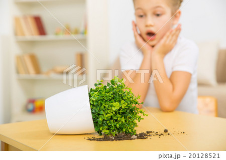 Broken flowerpot and surprised girl. 20128521