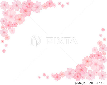 桜 ソメイヨシノ 水彩 春の花 コピースペース フレーム ピンク 手描き 白バック イラスト 和のイラスト素材
