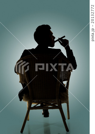Cunning businessman of Asian 20132772
