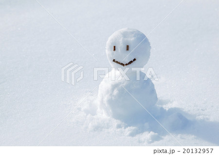 雪だるま 20132957
