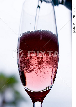 ヤマモモサワー 20133286