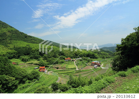 山口県　小畑地区の棚田 20133612