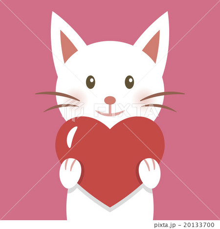 White cat and a heart 20133700