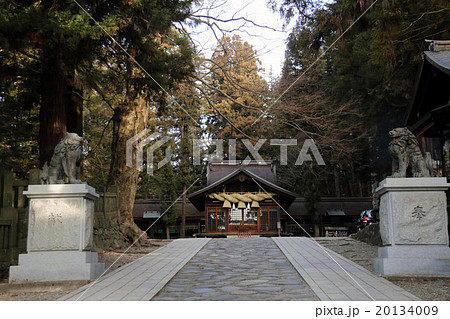 諏訪大社　下社春宮　狛犬と神楽殿 20134009