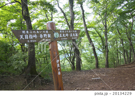 伊豆ヶ岳 20134229