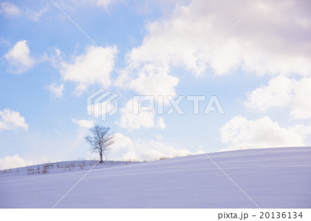 冬の北海道・美瑛の風景 20136134