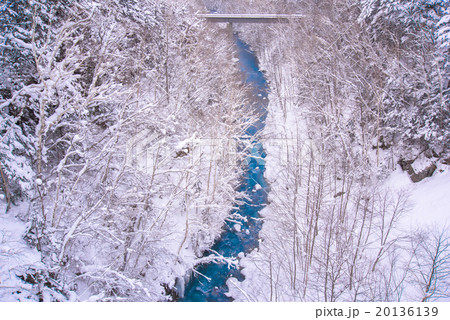 冬の北海道・美瑛の風景 20136139