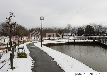 雪景色 雪景色 20136460