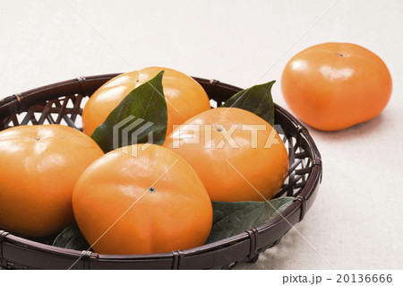 柿 20136666