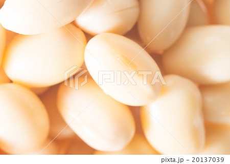 水煮大豆 水煮大豆 20137039