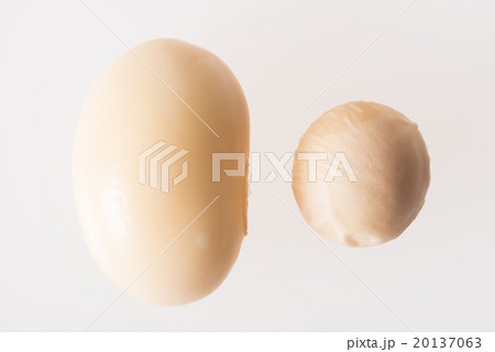 水煮大豆と乾燥大豆の大きさ比較 水煮大豆と乾燥大豆の大きさ比較 20137063